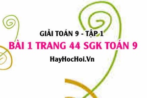 Giải bài 1 trang 44 SGK Toán 9 tập 1